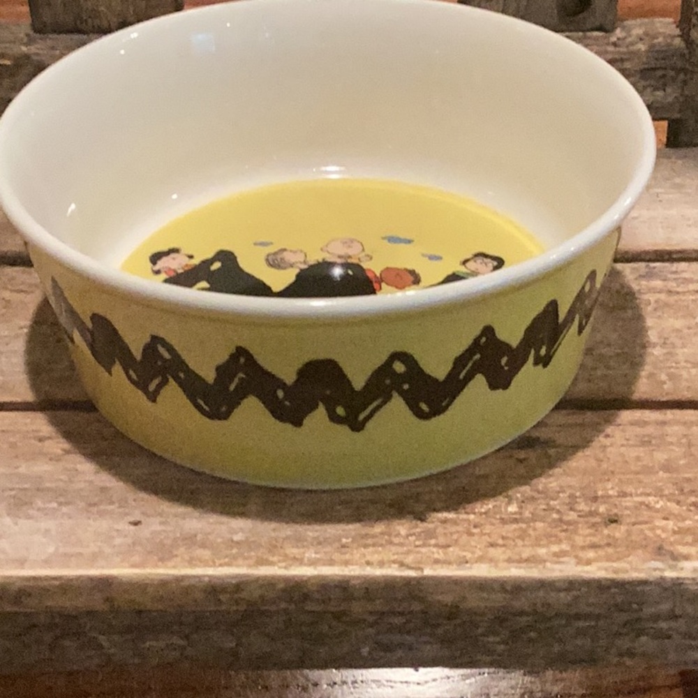 Peanuts Stoneware Pet Bowl